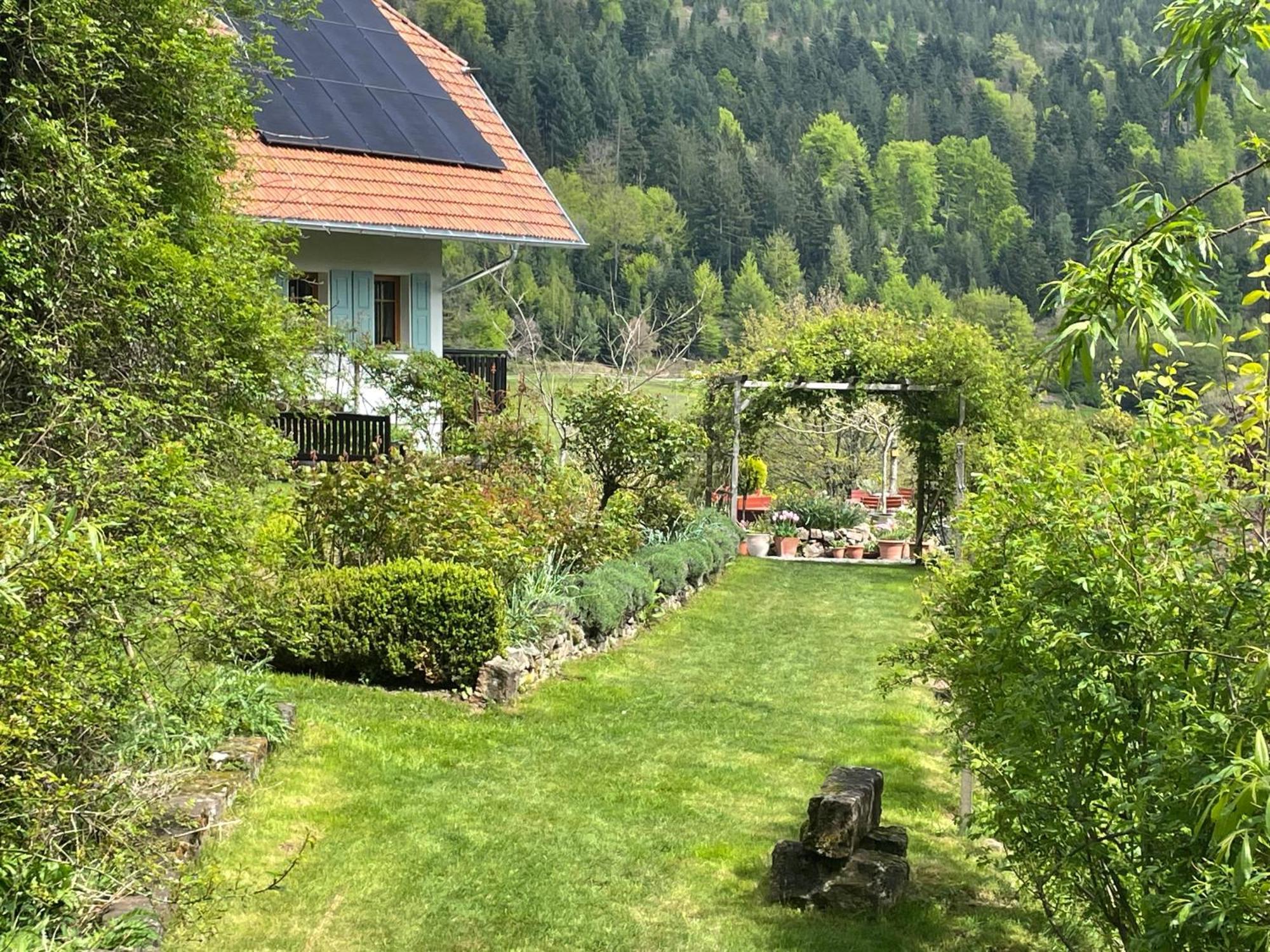 Гостевой дом The Moosbach Garden Nordrach Экстерьер фото