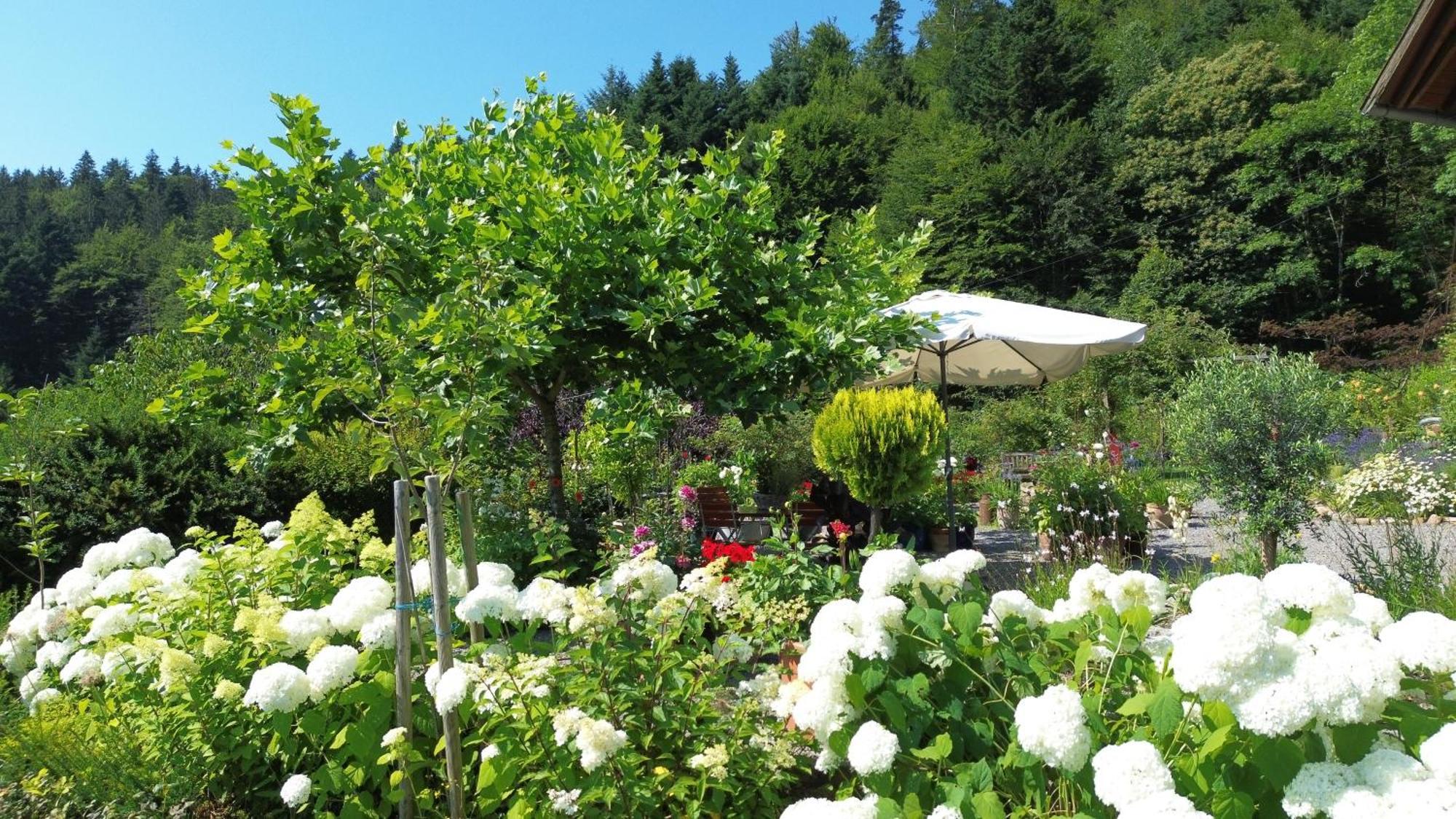 Гостевой дом The Moosbach Garden Nordrach Экстерьер фото